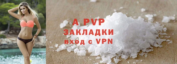 кокс Инсар