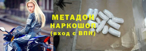 индика Каменка