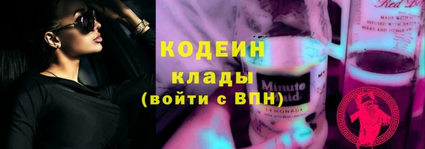 твердый Инта