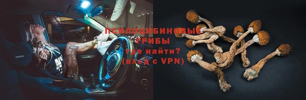 ешки Иннополис