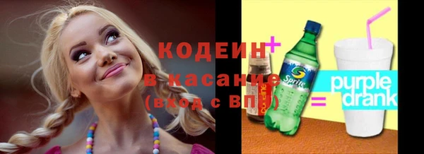 индика Каменка