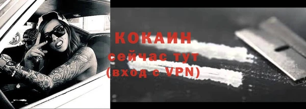 индика Каменка