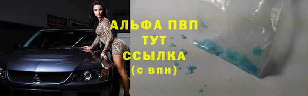гидра Каменск-Шахтинский
