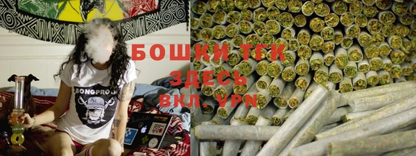индика Каменка