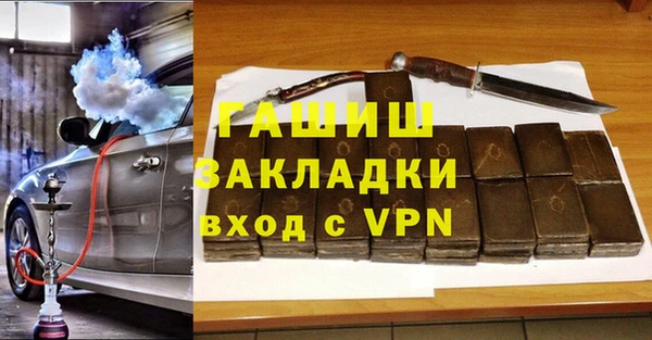 индика Каменка