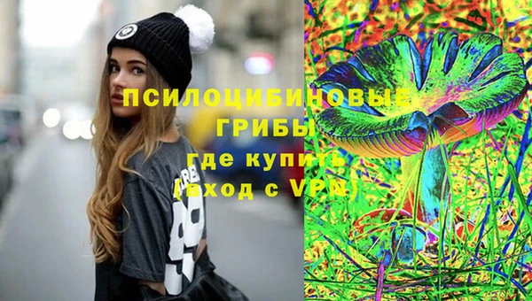 кокс Инсар