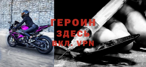 индика Каменка