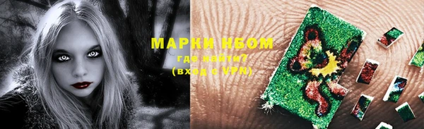 индика Каменка