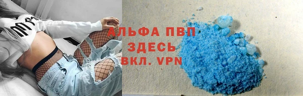 ешки Иннополис